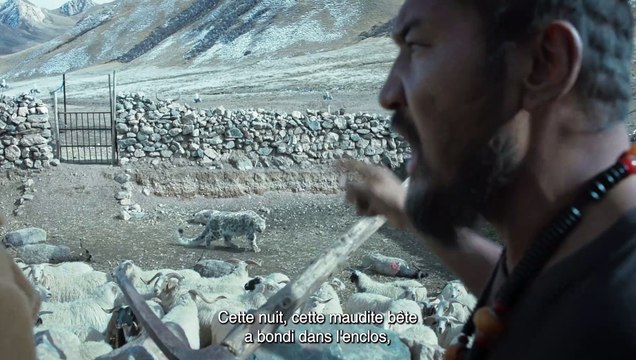 Le Léopard des neiges Bande-annonce VO STFR