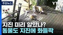 지진 미리 알아차렸나?...제보 속 담긴 '깜짝' 놀란 동물들 / YTN