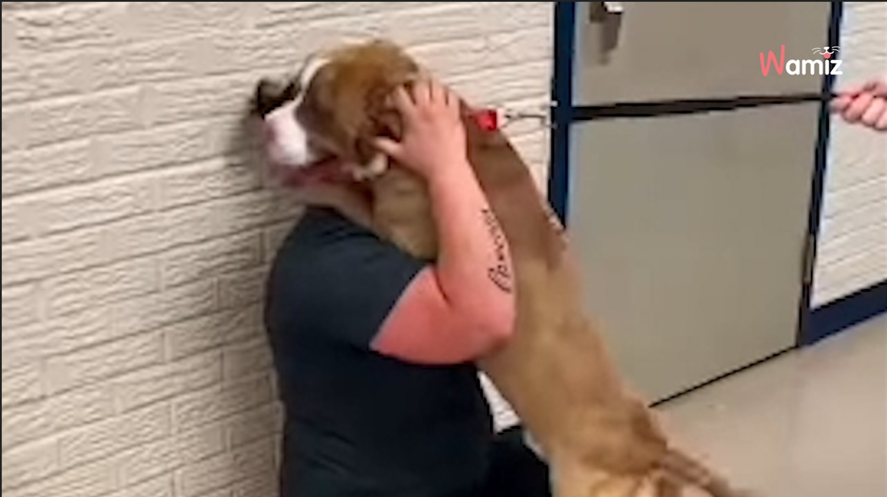 Fort Wayne Animal Care & Control