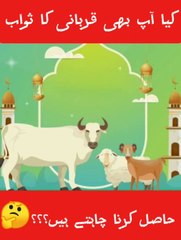 Qurbani ka sawb | short video | islamic shorts