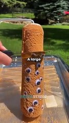 Facts_that_could_save_your_life__#interestingfacts_#shorts(360p)