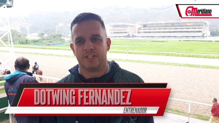 HIPISMO: Dotwing Fernandez - Entrenador