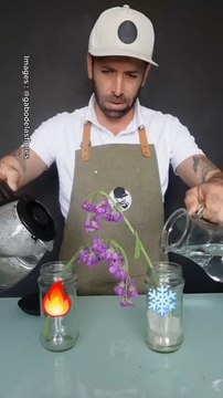 Les fleurs coupées aiment l’eau chaude