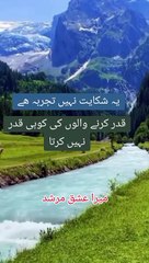 20240501_020125987.mp4_play_US