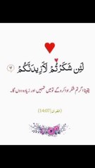 جس حال میں بھی ہوں ہمشہ شکر ادا کریں