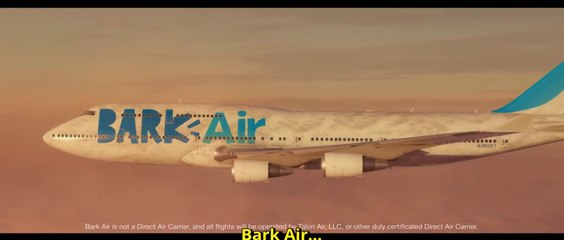 Así es Bark Air, la aerolínea 100% real para perros
