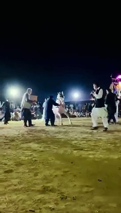 Horse Dance