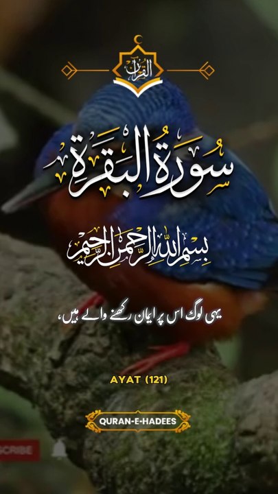 Surah Baqarah Beautiful Tarjum ❤️❤️#quran