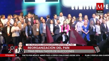 "La denuncia de Marko Cortés es irrelevante": Adriana Dávila sobre la reorganización del PAN