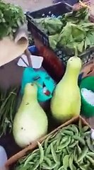 Fruits & Vegetables Market Ibra Oman Muscat