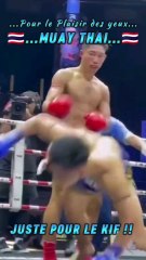  Muay Thai  ☑️ Juste pour le kif‼️✅ Pour le plaisir des yeux ‼️