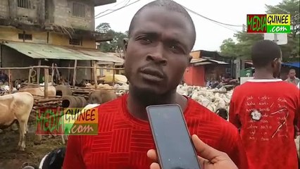 Fête de Tabaski : voici le coût du bétail sur le marché