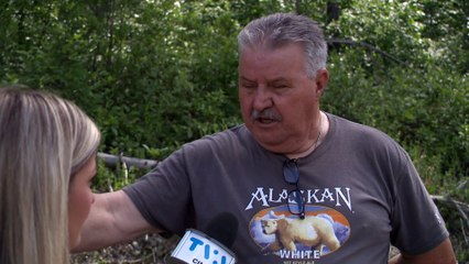 Présence de coyotes à Saint-Juste-du-Lac