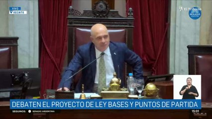 Senador Sergio Laevy - Sesión Ley de Bases