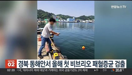 경북 동해서안 올해 첫 비브리오 패혈증균 검출