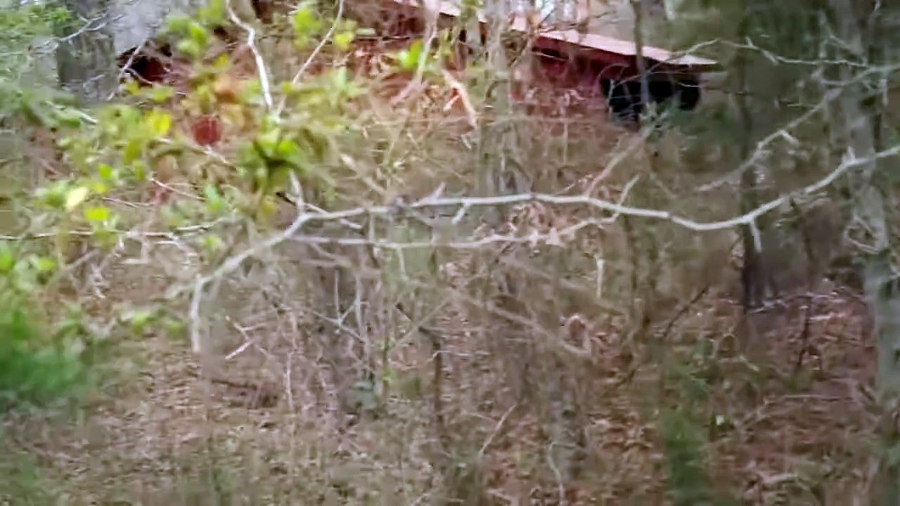 THE HOOT OWL   Horror, Old-School Slasher    Jason Rader, Jason Von Godi