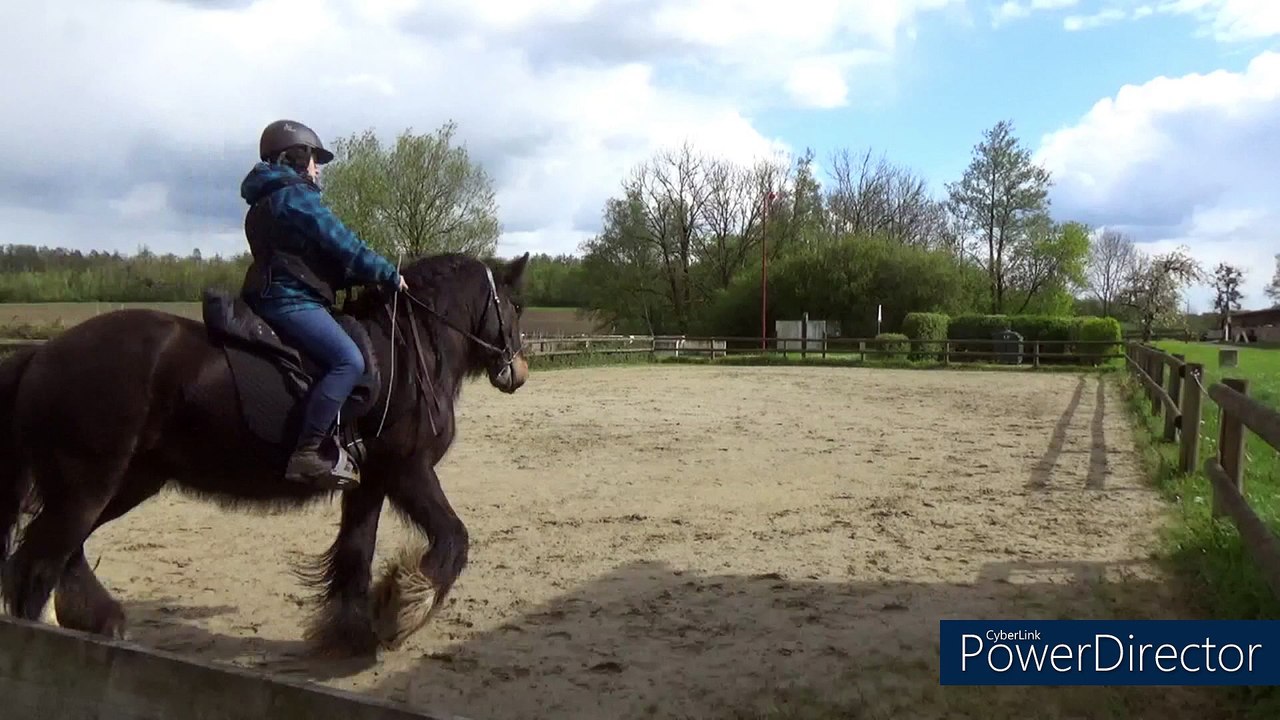 Début appuyers trot 22/04/24