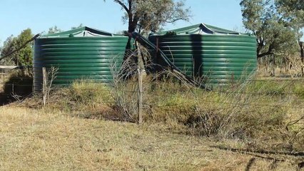 Speculation, Jericho, Qld | June 13, 2024 | Farmonline