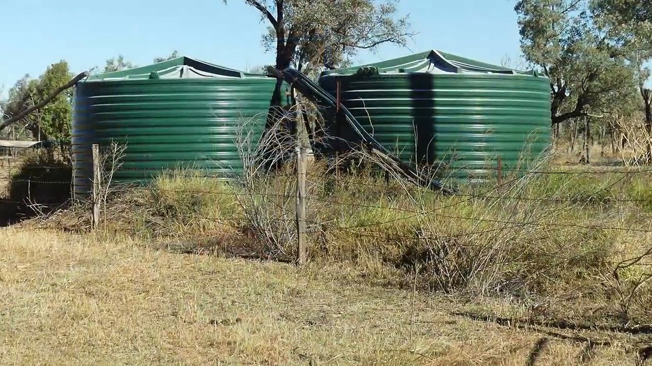 Speculation, Jericho, Qld | June 13, 2024 | Farmonline