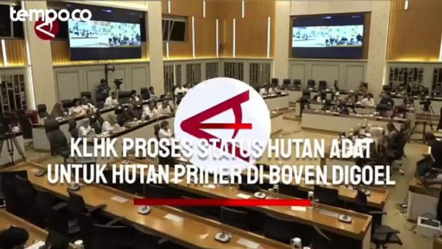 KLHK Proses Status Hutan Adat untuk Hutan Primer di Boven Digoel