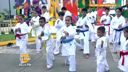 Transmisión en Vivo (4527)