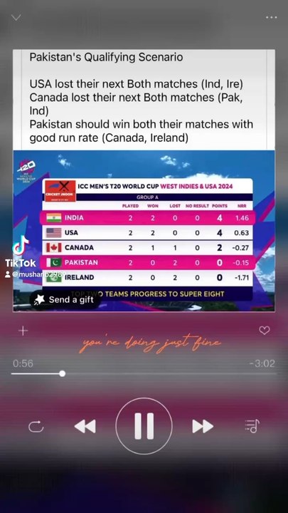 Pakistani team winning formula on T20 2024 worldcup