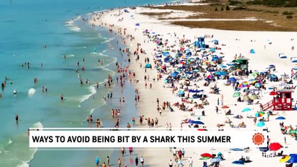 7 ways to avoid being bit by a shark