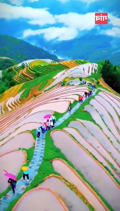 Japan best video
