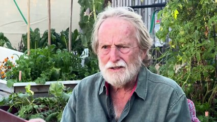 Queensland budget is full of treats, but is it enough to entice voters?