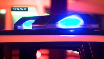 7 ARRESTED FOR GANG RELATED ACTIVITIES