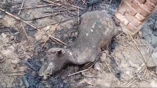 Ghar Ko aagh Lag Gai __ Sab Janwar Aag Main Jal Gaye