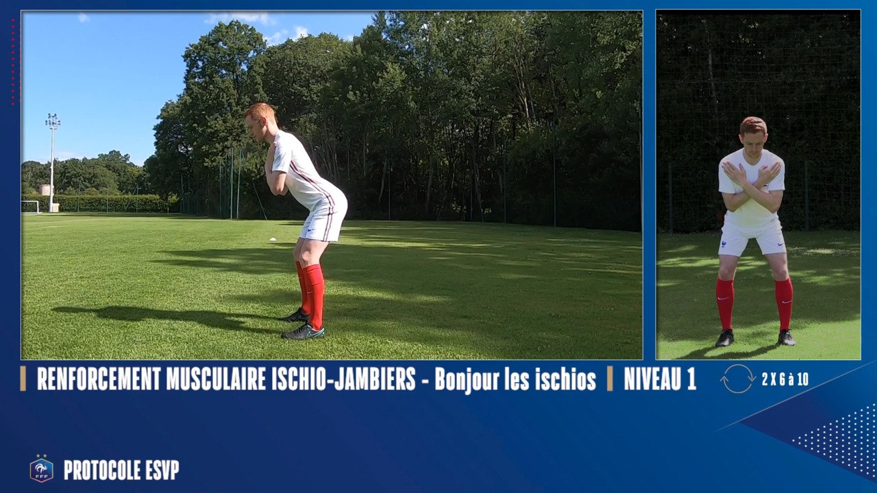 2-Le renforcement musculaire des ischios-jambiers - Bonjour les ischios