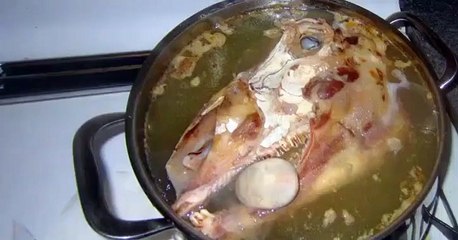 The Darwinners The Darwinners E016 – The substitute