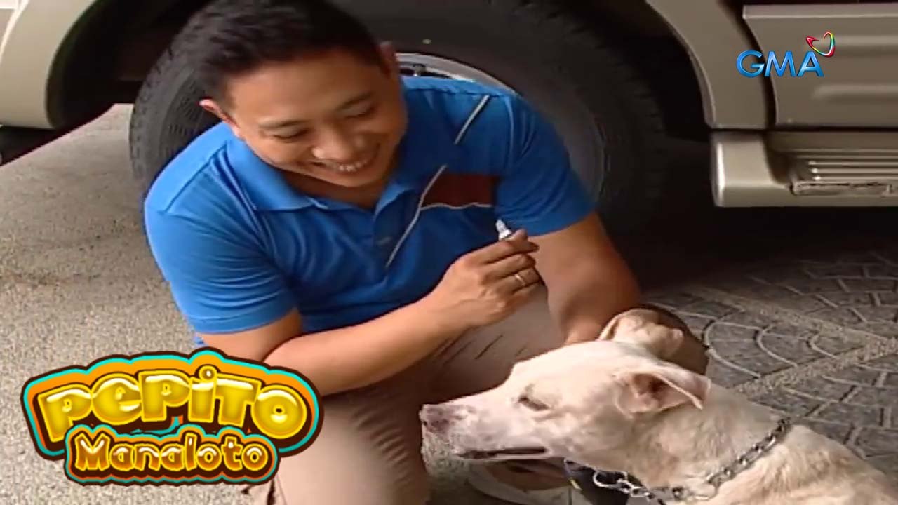 Pepito Manaloto: Ang bagong doggy ni Pitoy (YouLOL)