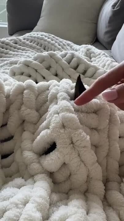 Miniature Pinscher Dog Pokes Muzzle Through Blanket To Eat Popcorn