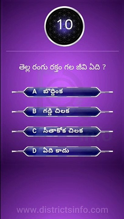 Interesting Questions Telugu