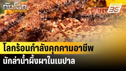 โลกร้อนกำลังคุกคามอาชีพนักล่าน้ำผึ้งผาในเนปาล | ทันโลก EXPRESS | 13 มิ.ย. 67