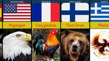 LE NOM ANIMAL DES DIFFERENTS PAYS