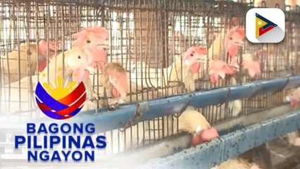 DA, ipnagbawal ng pag-angkat ng mga ibon at poultry products mula sa Michigan, U.S.A