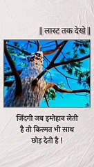 Zindagi Imtehan Jub Leti Hai