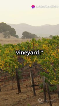 invideo-ai-1080 Uncork the Magic_ Santa Ynez Wine Tours! 2024-06-13