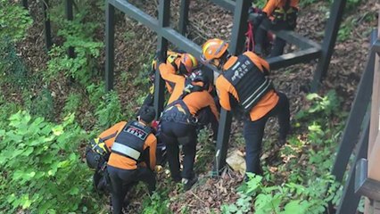 춘천 삼악산 케이블카 인근 60대 추정 남성 숨진 채 발견 / YTN