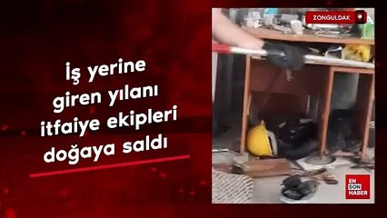 İş yerine giren yılanı itfaiye ekipleri yakalayıp doğaya saldı