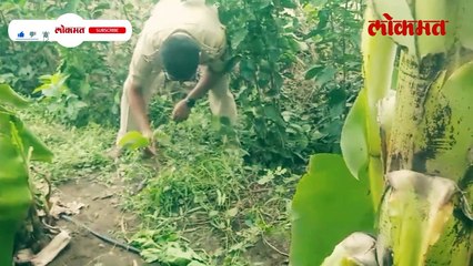 35 वर्षीय नराधमाचा चिमुकलीवर अत्याचार