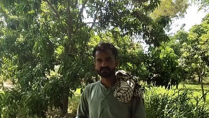 1st Video Just For Checking