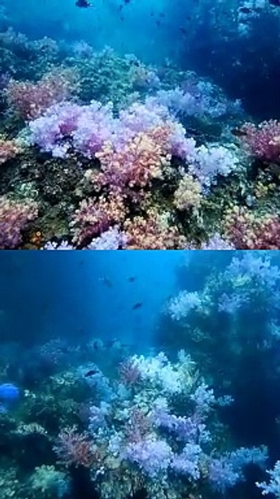 Best of Satun Travel Highlights Thailand