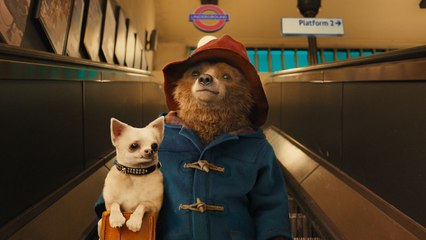 Paddington in Peru - Official Trailer