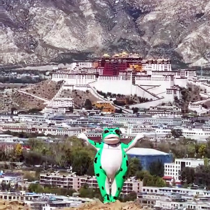Stylish Froggy