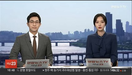 롤스로이스 가해자 마약 처방 의사, 1심 징역 17년