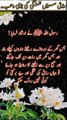 Rizq ki tangi ki waja |Islamic quotes|viralshort